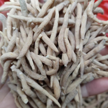 批发太子参