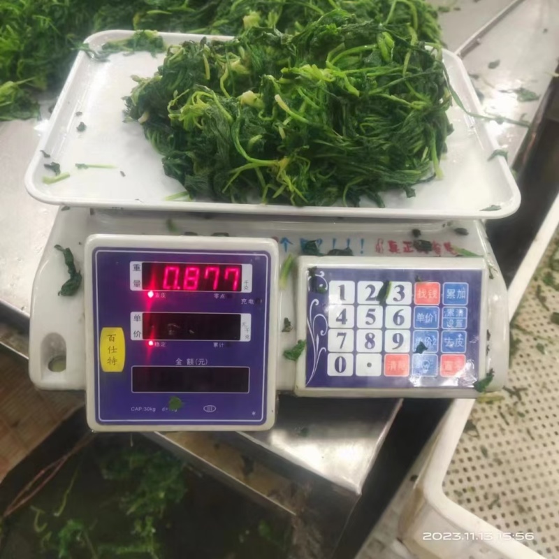 荠菜馅一件30斤，可对接饭店商超，一手货源，欢迎咨询采购