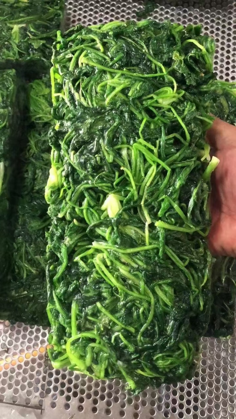 荠菜馅一件30斤，可对接饭店商超，一手货源，欢迎咨询采购