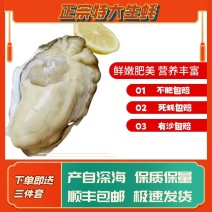 包邮特大生蚝鲜活新鲜海蛎子10特大海鲜牡蛎肉水产5斤批发