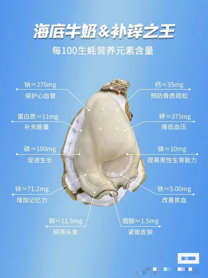 包邮特大生蚝鲜活新鲜海蛎子10特大海鲜牡蛎肉水产5斤批发