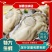 包邮特大生蚝鲜活新鲜海蛎子10特大海鲜牡蛎肉水产5斤批发