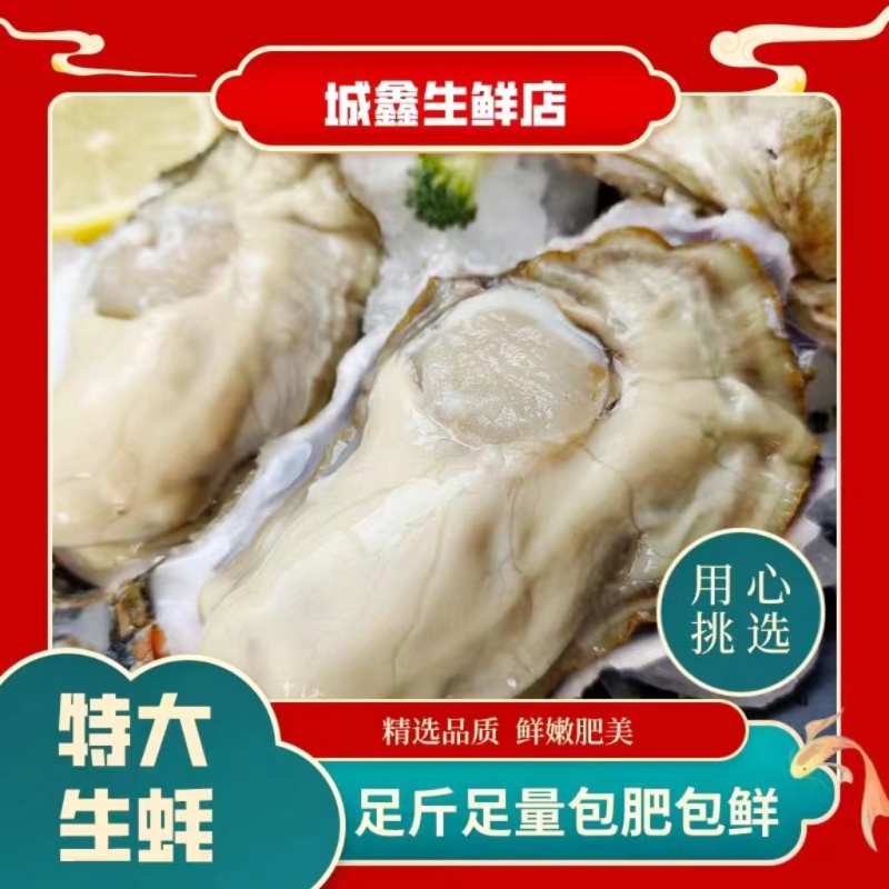 包邮特大生蚝鲜活新鲜海蛎子10特大海鲜牡蛎肉水产5斤批发