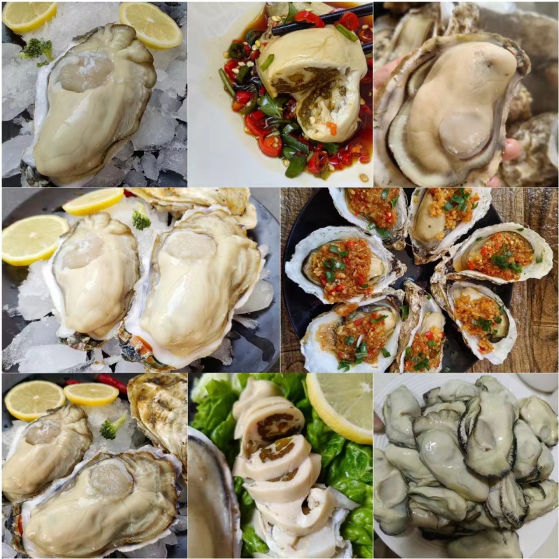 包邮特大生蚝鲜活新鲜海蛎子10特大海鲜牡蛎肉水产5斤批发