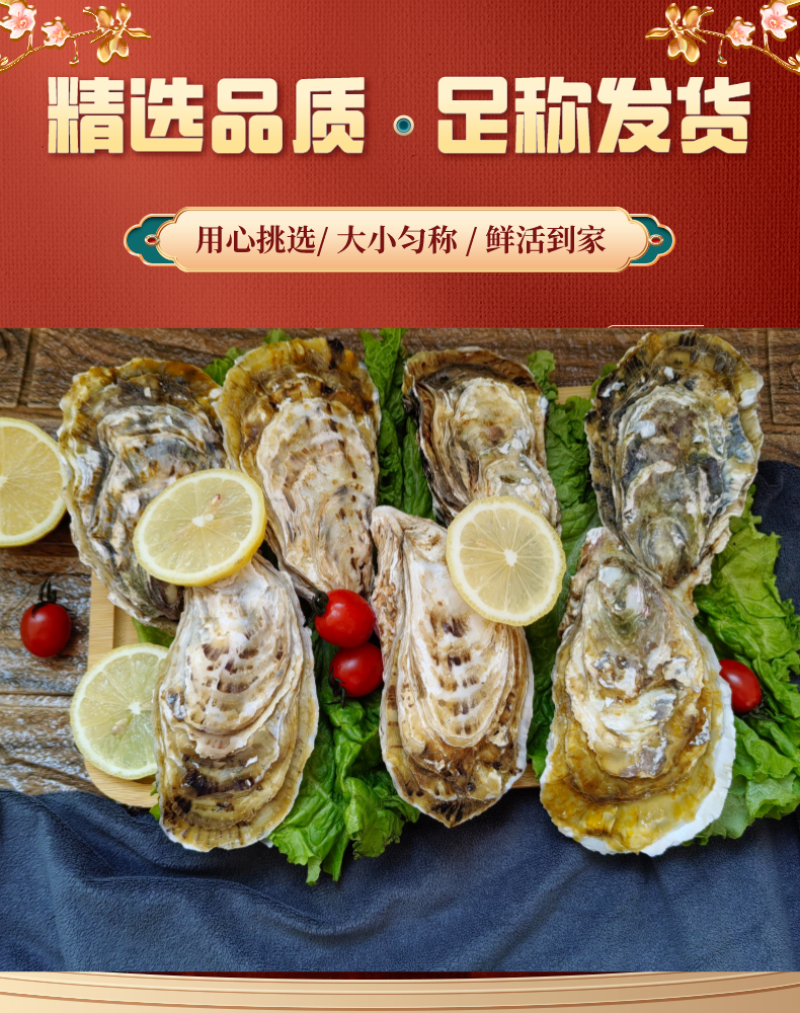 包邮特大生蚝鲜活新鲜海蛎子10特大海鲜牡蛎肉水产5斤批发