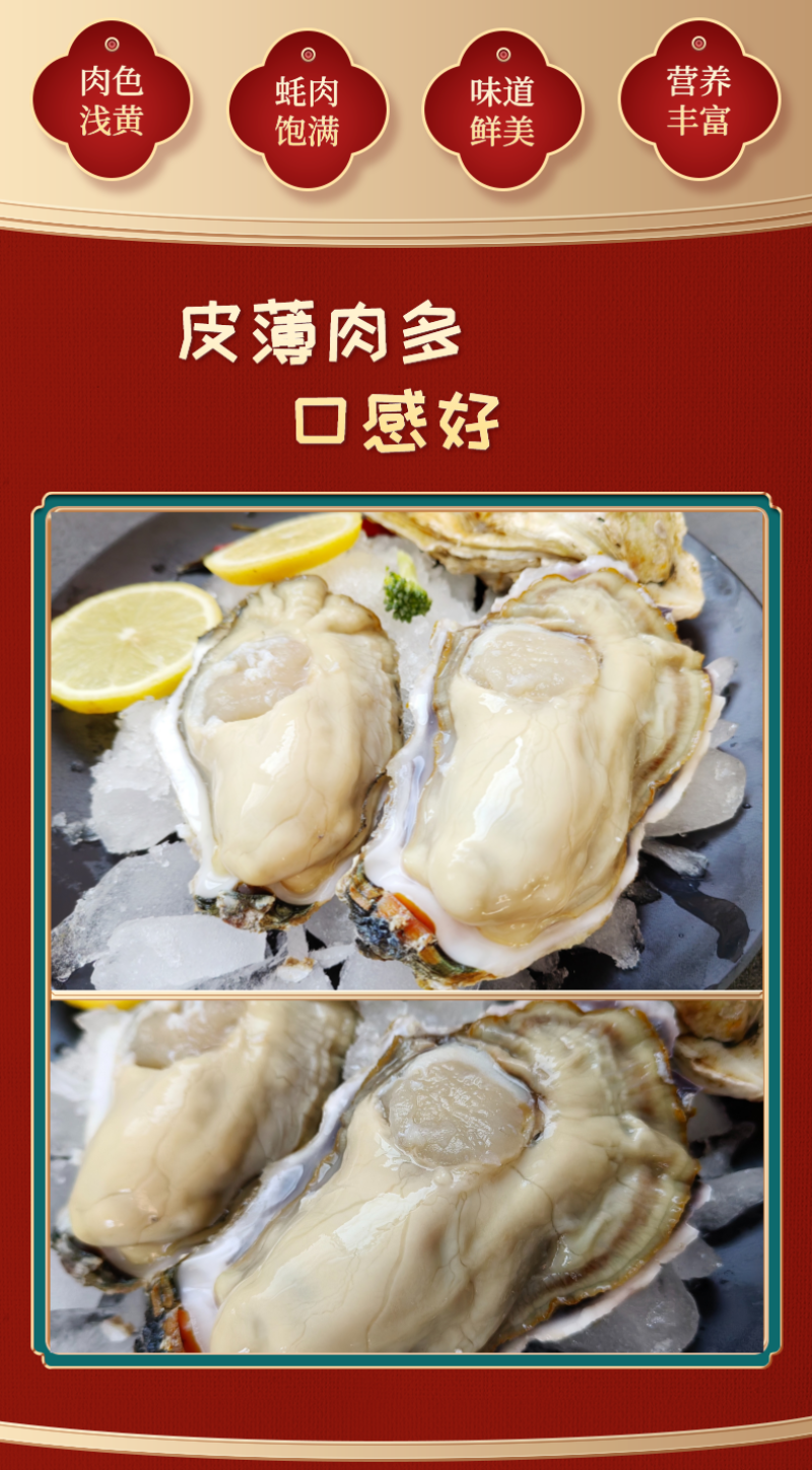 包邮特大生蚝鲜活新鲜海蛎子10特大海鲜牡蛎肉水产5斤批发