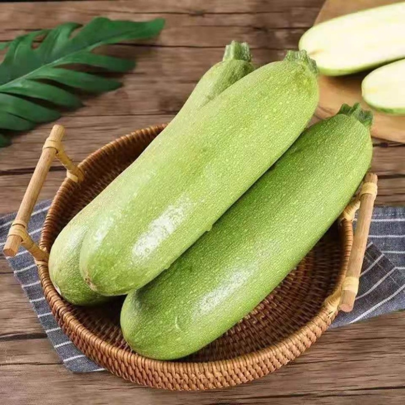 【荐】绿皮西葫芦新鲜茄瓜西葫芦量大价优包装好欢迎选购