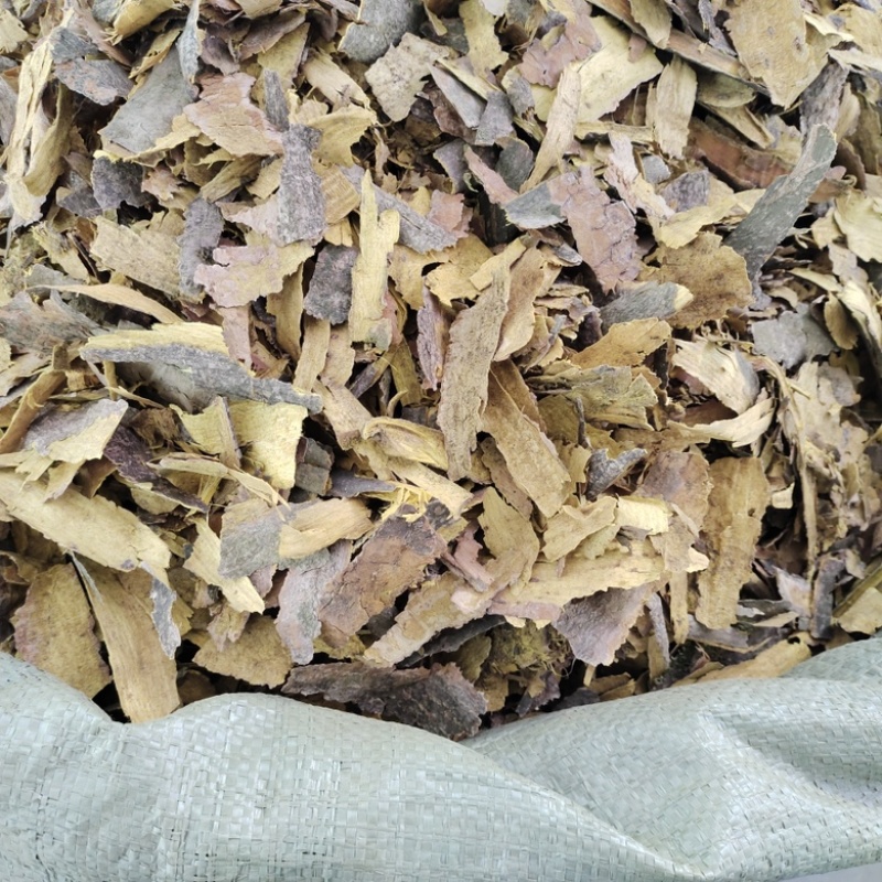批发黄柏皮