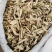 批发槲寄生