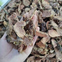 批发红景天