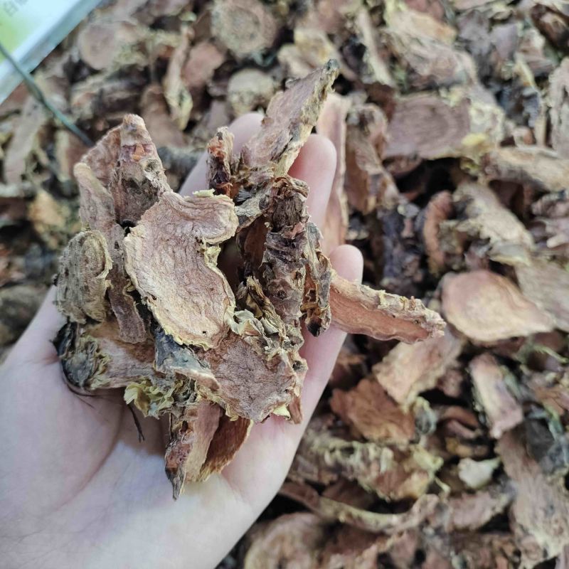 批发红景天