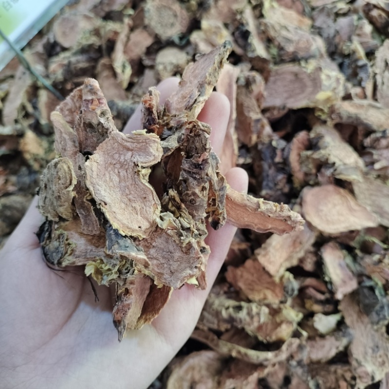 批发红景天