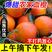 四川血橙新鲜水果当季整箱薄皮塔罗科血橙子手剥橙红心橙