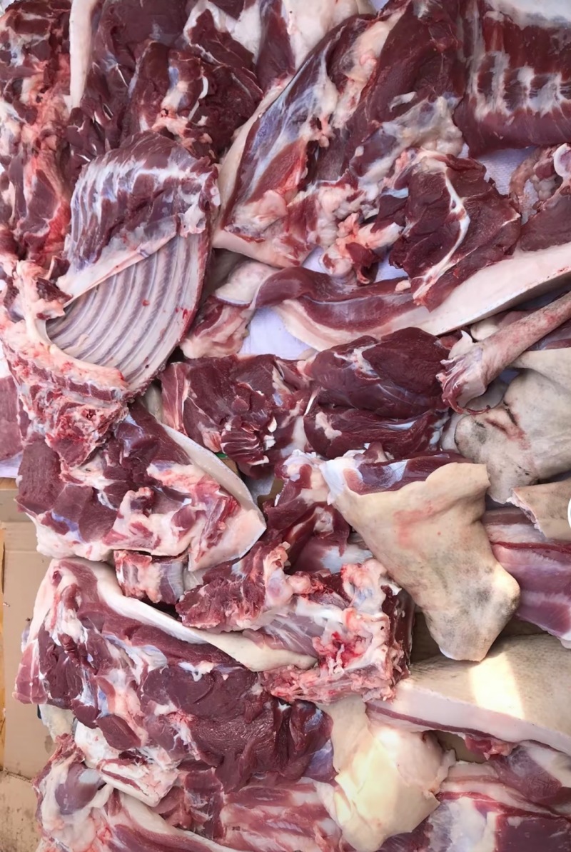 黑猪肉，农村散养土猪黑猪肉，量大从优全国可发，电话联系对