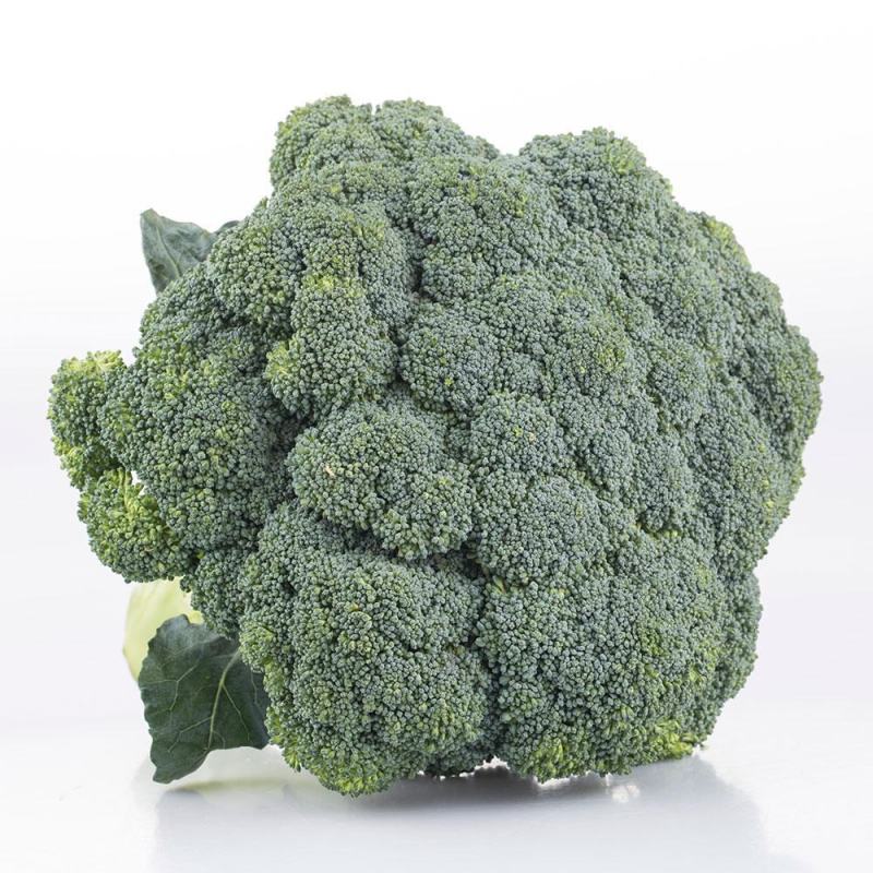 【牛商推荐】西兰花新鲜上市（好货）现摘现发产地货源