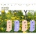 甘野菊种子野菊花种子泡茶小菊花野生菊花白色黄色多年生菊花
