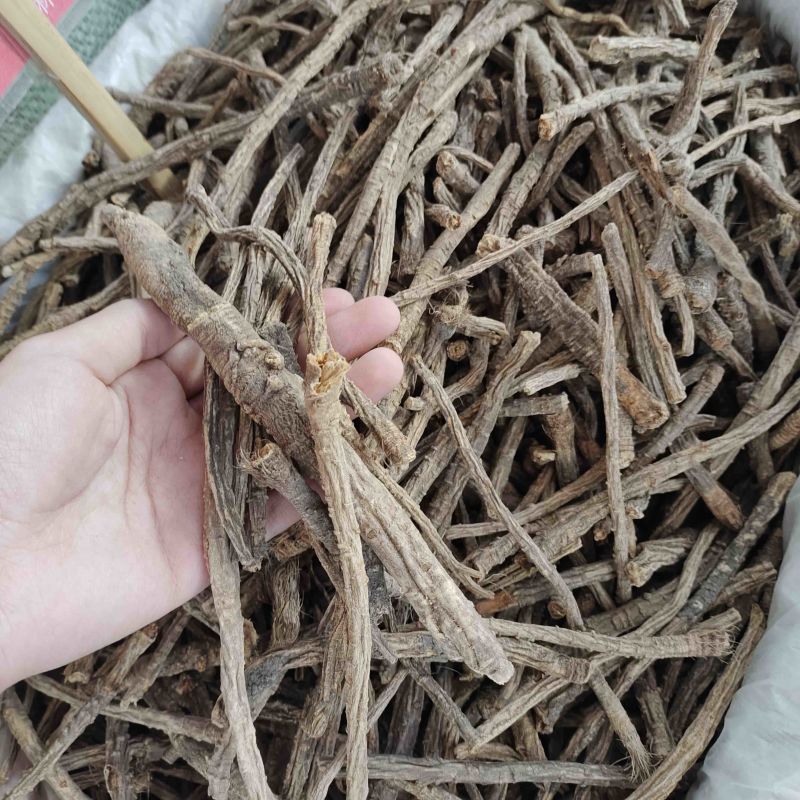 批发防风天然野生防风自然晾晒风干量大从优可对接全国客商
