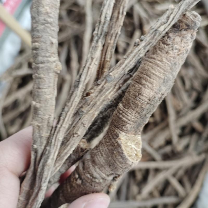 批发防风