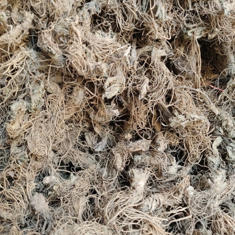 批发地胆头
