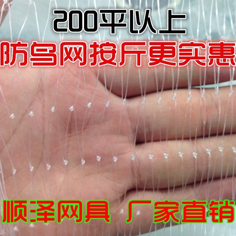 防鸟网量大价优原生尼龙果园葡萄樱桃防鸟网鱼塘防鸟网