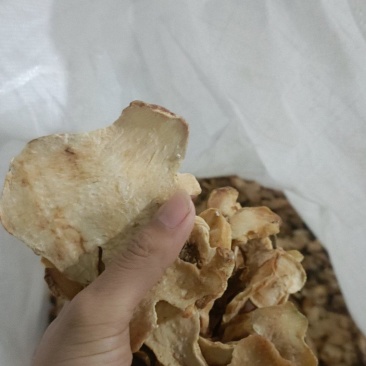 黄精