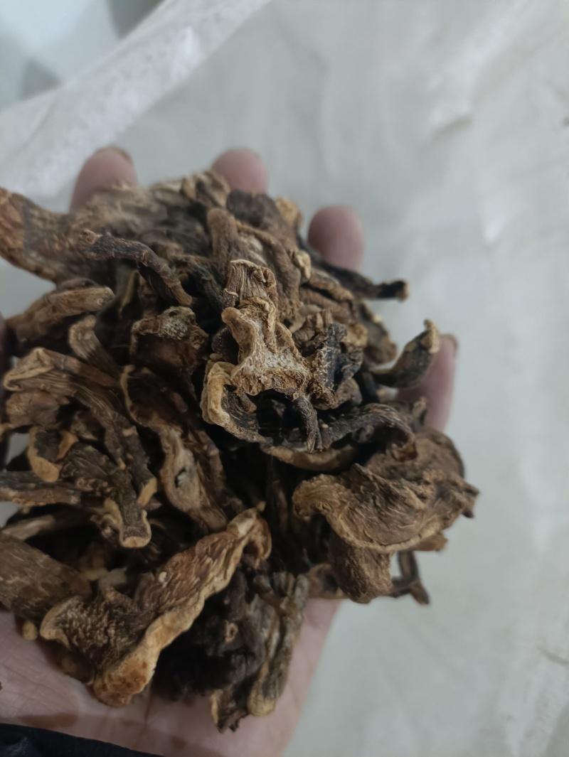 黄精