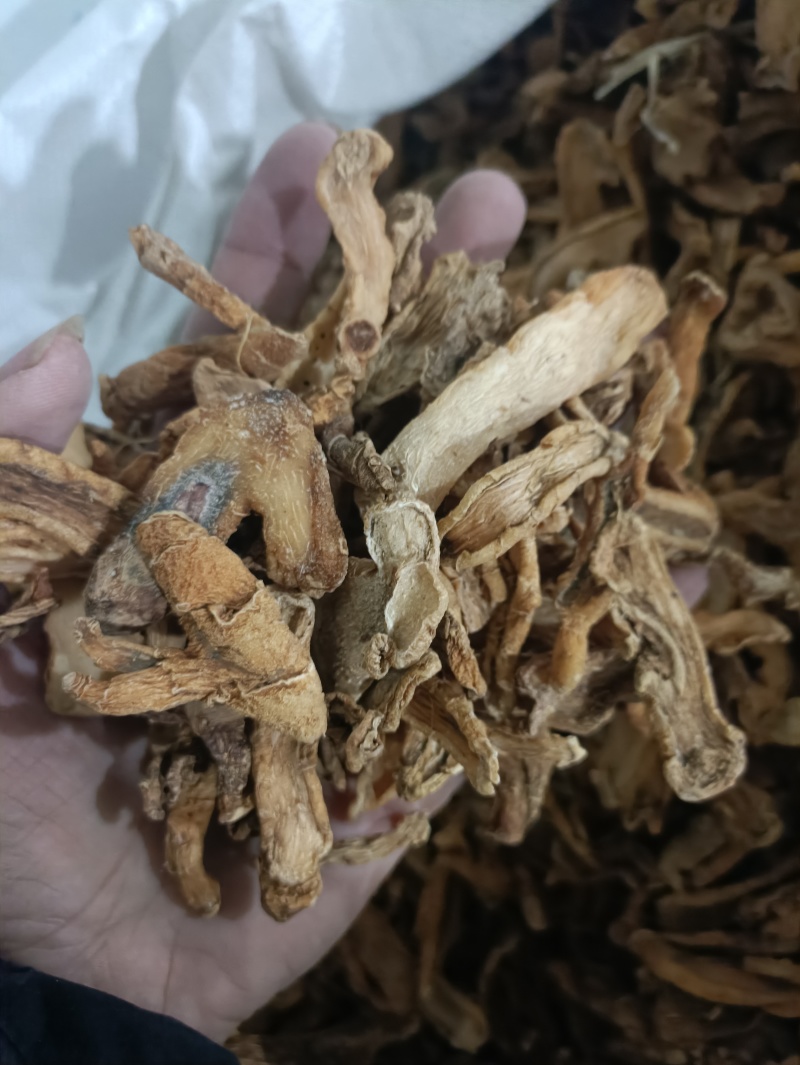 黄精