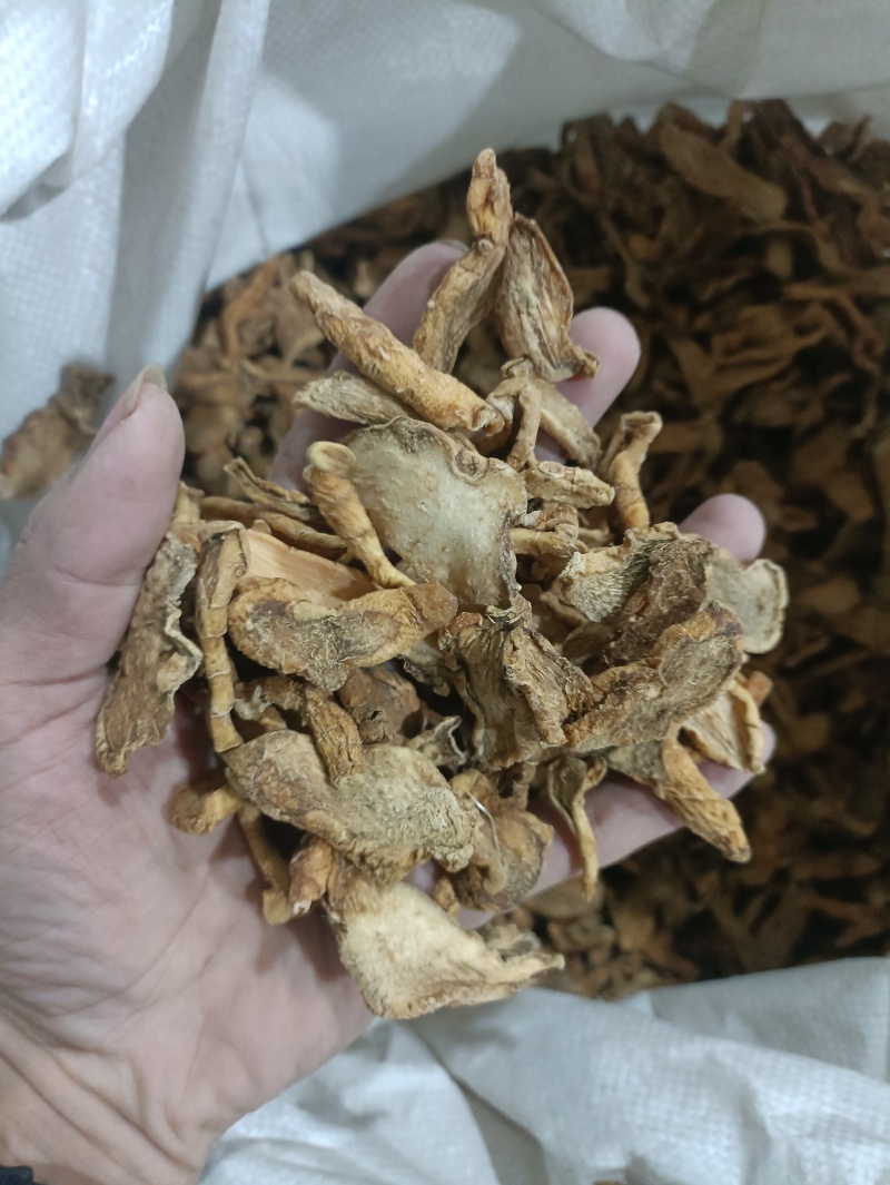 黄精