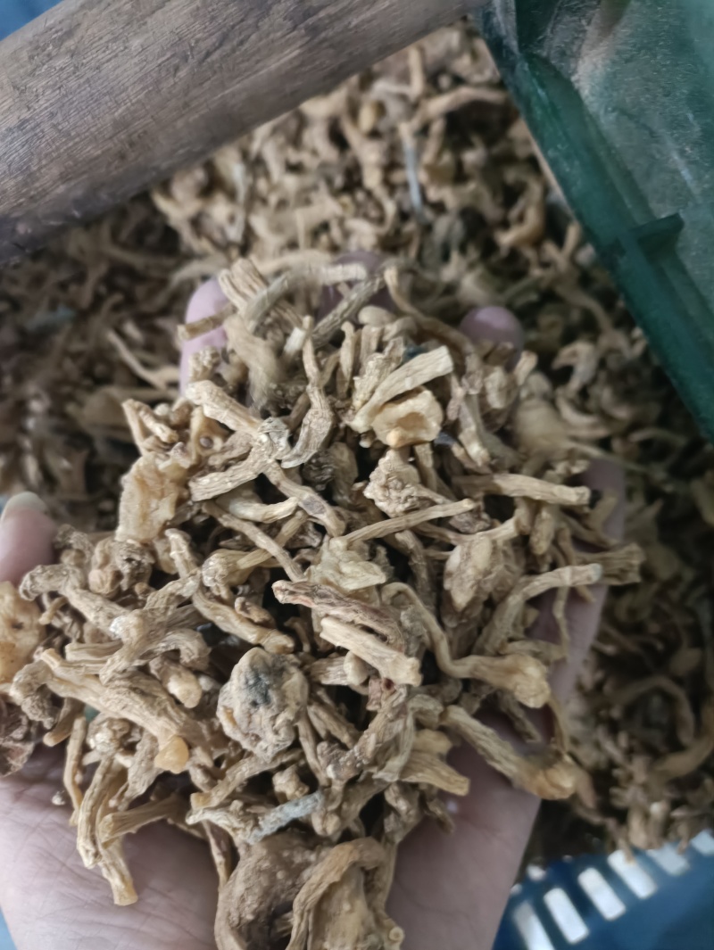黄精