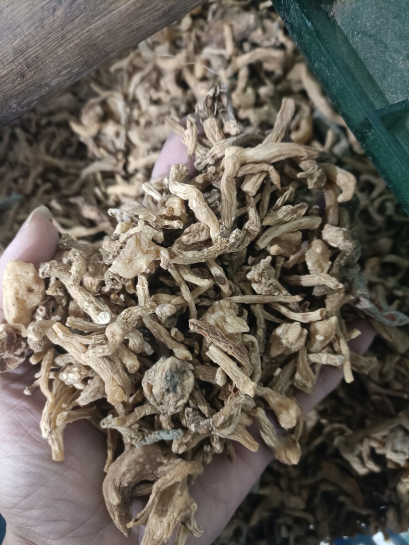 黄精