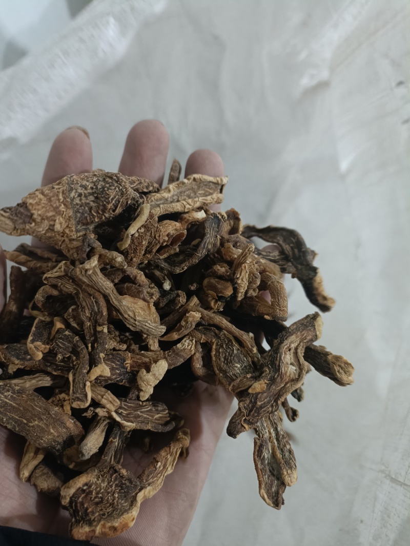 黄精