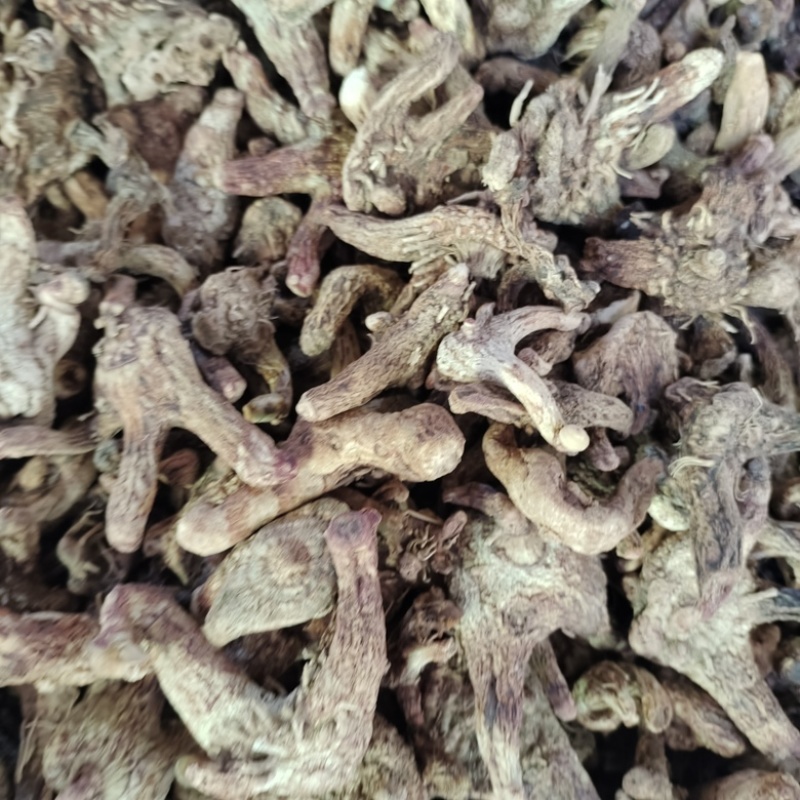 批发白芨