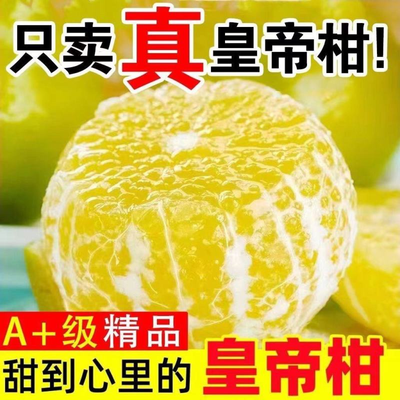 纯甜皇帝柑新鲜水果桔贡柑橘子整箱批发应季时令薄皮