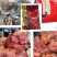 精品肴驴肉