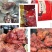精品肴驴肉