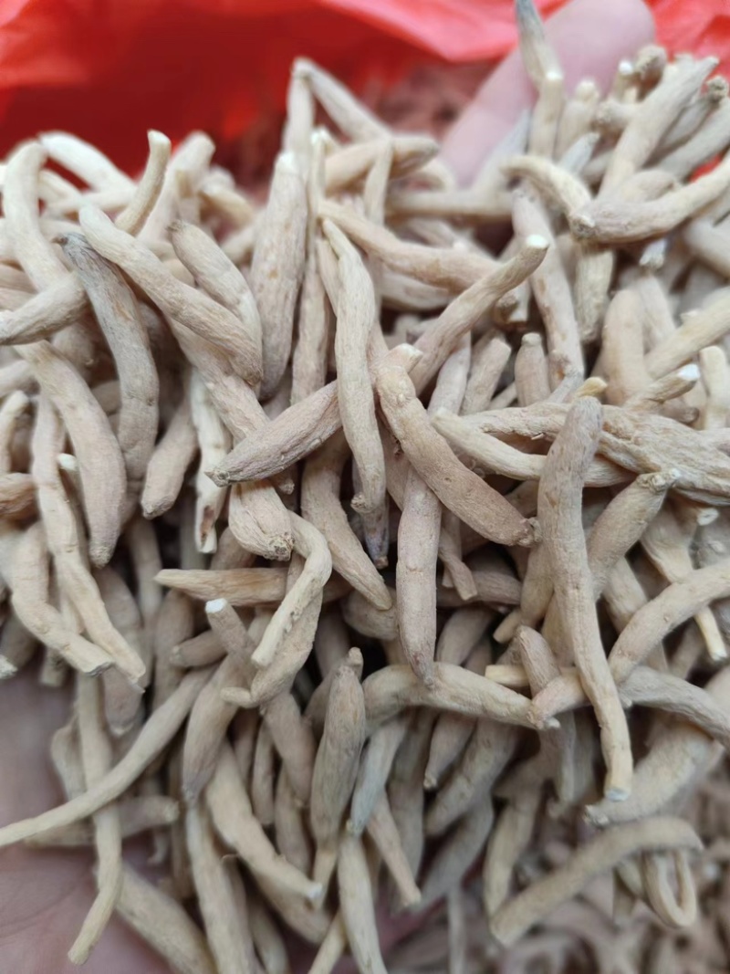 批发太子参