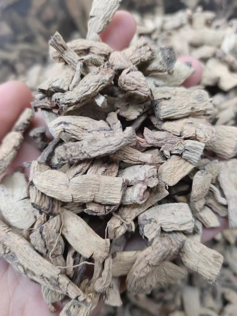 批发巴戟