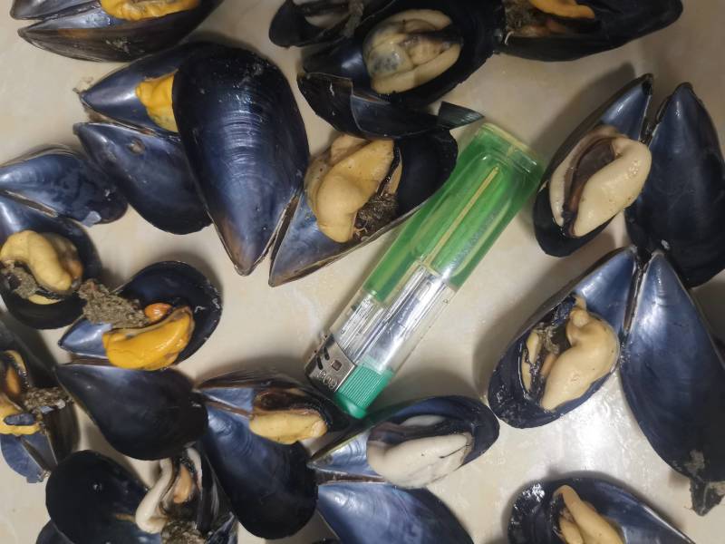 大家好，海虹开始上市了，今年的产量少之少，同时贵也正常了