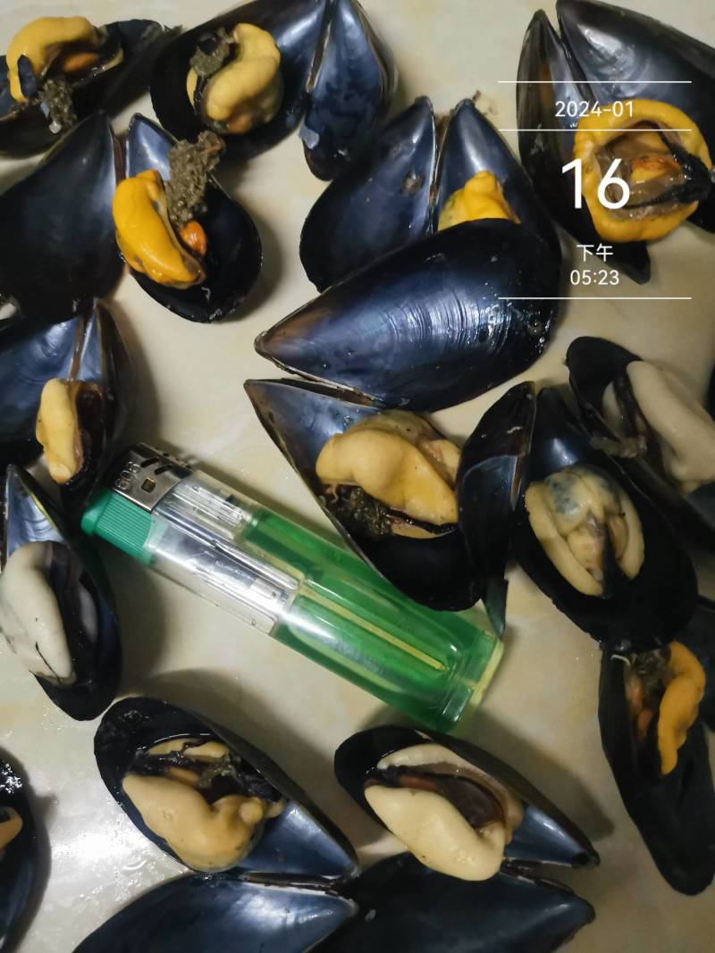 大家好，海虹开始上市了，今年的产量少之少，同时贵也正常了