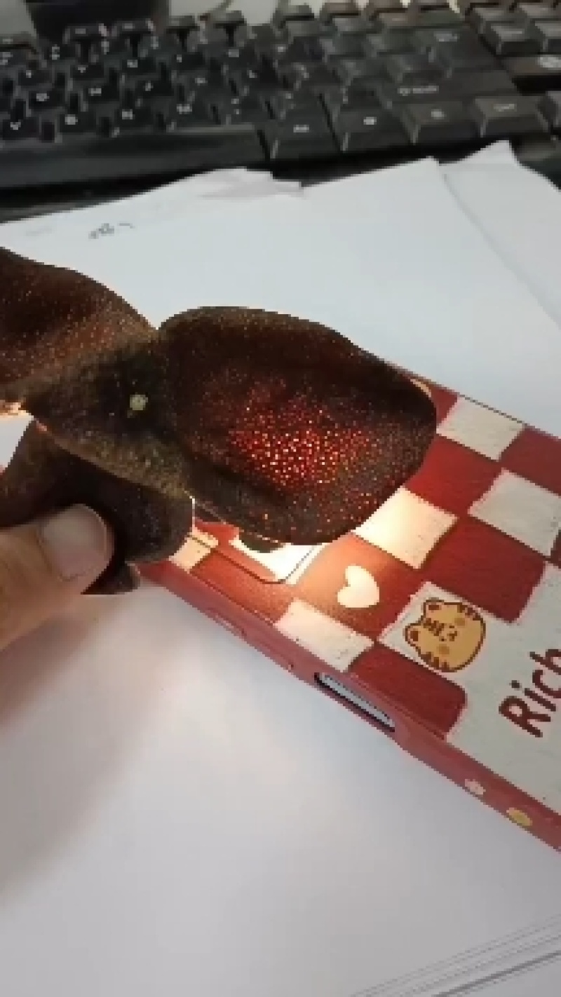 满天星十年陈皮新会陈皮干老陈皮，三瓣整片，优惠价