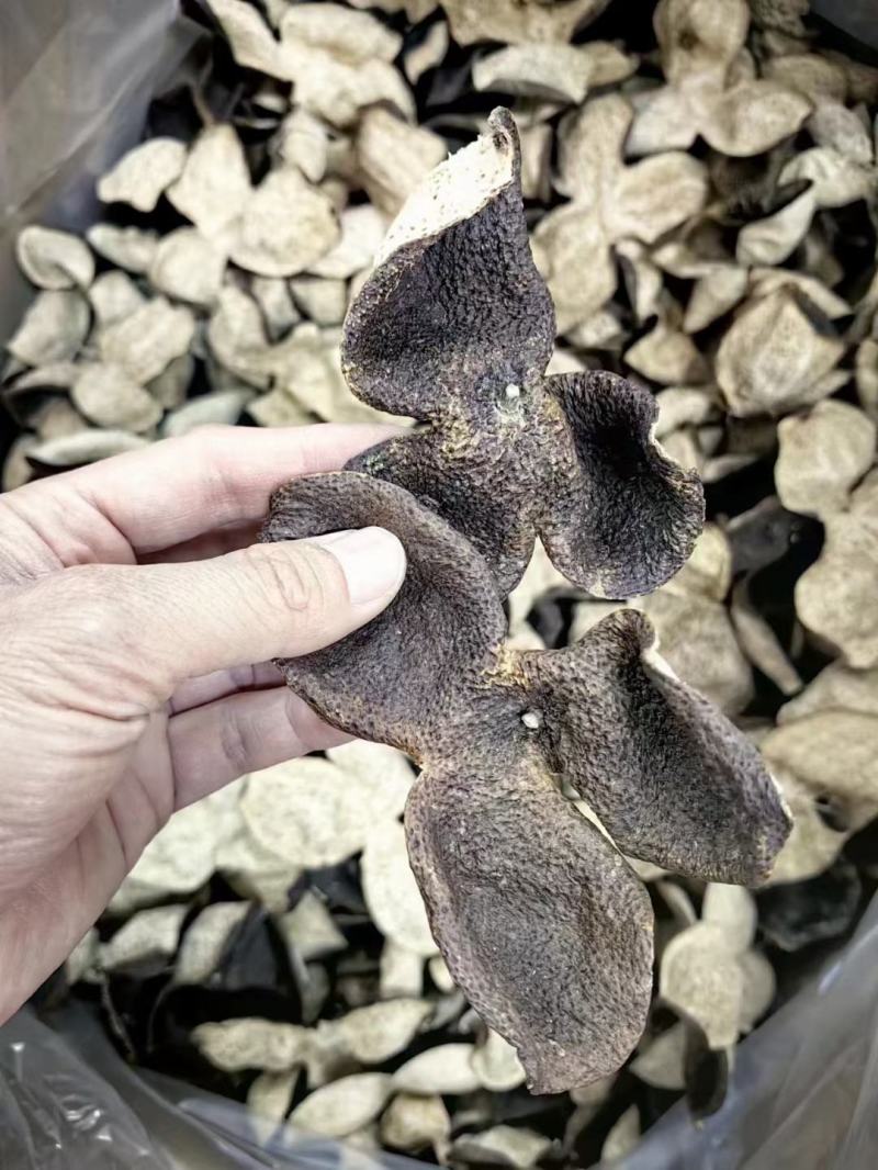 满天星十年陈皮新会陈皮干老陈皮，三瓣整片，优惠价