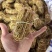 五指毛桃无硫小扎，纯无硫椰奶香，色泽好，量大价优视频看货