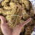 五指毛桃无硫小扎，纯无硫椰奶香，色泽好，量大价优视频看货