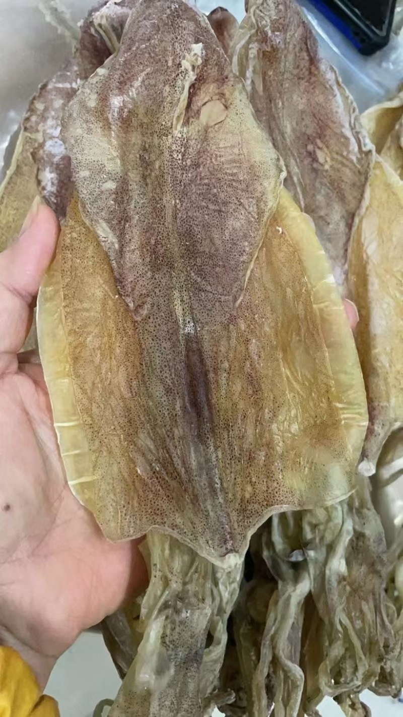 湛江特产纯淡干小鱿鱼干足干船晒鱿鱼香味十足强力推荐