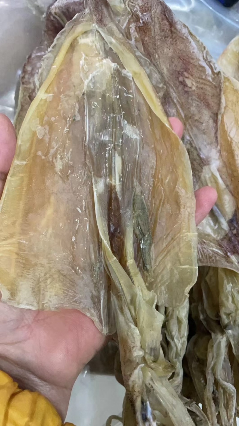 湛江特产纯淡干小鱿鱼干足干船晒鱿鱼香味十足强力推荐