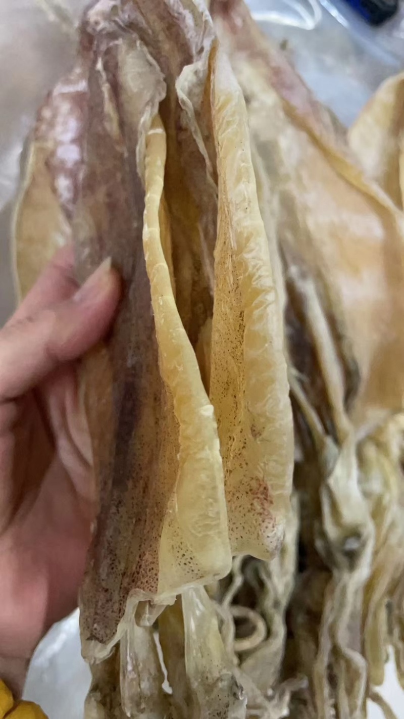 湛江特产纯淡干小鱿鱼干足干船晒鱿鱼香味十足强力推荐