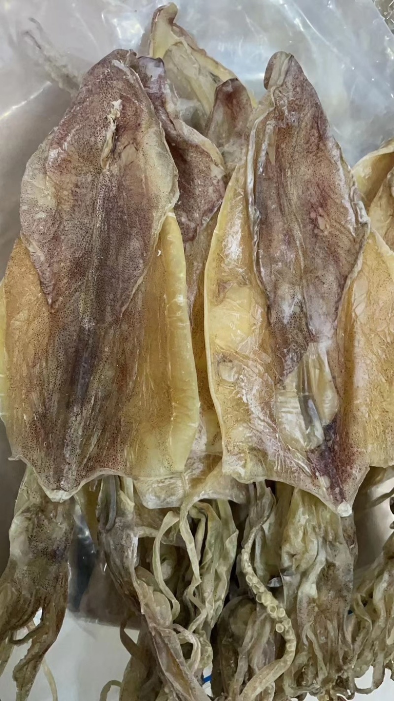 湛江特产纯淡干小鱿鱼干足干船晒鱿鱼香味十足强力推荐