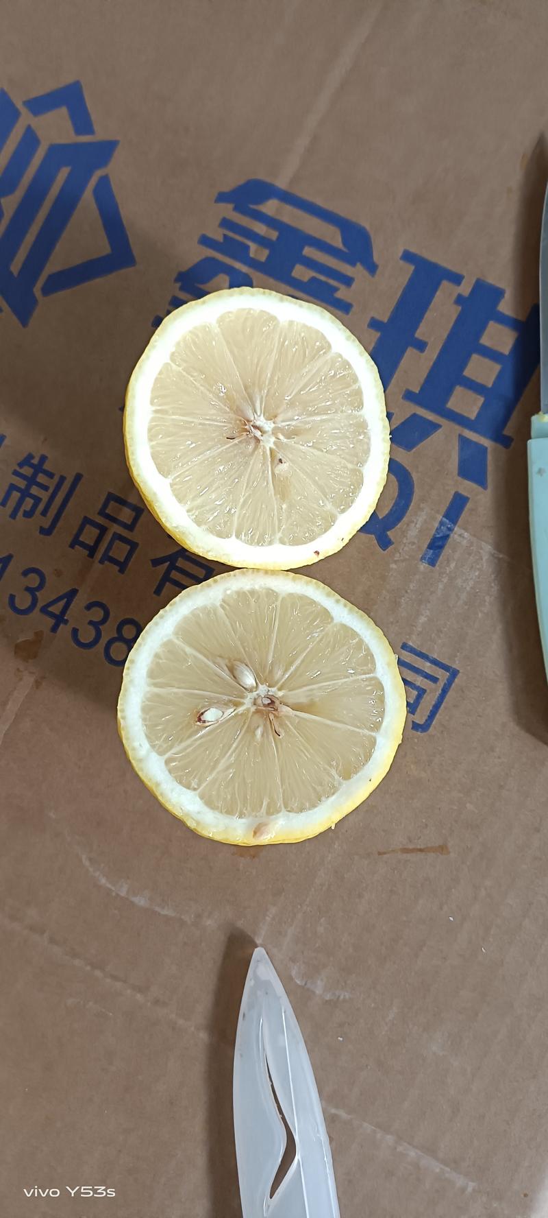 四川柠檬基地直发大中小柠檬皮薄汁多货源充足品质保证包邮