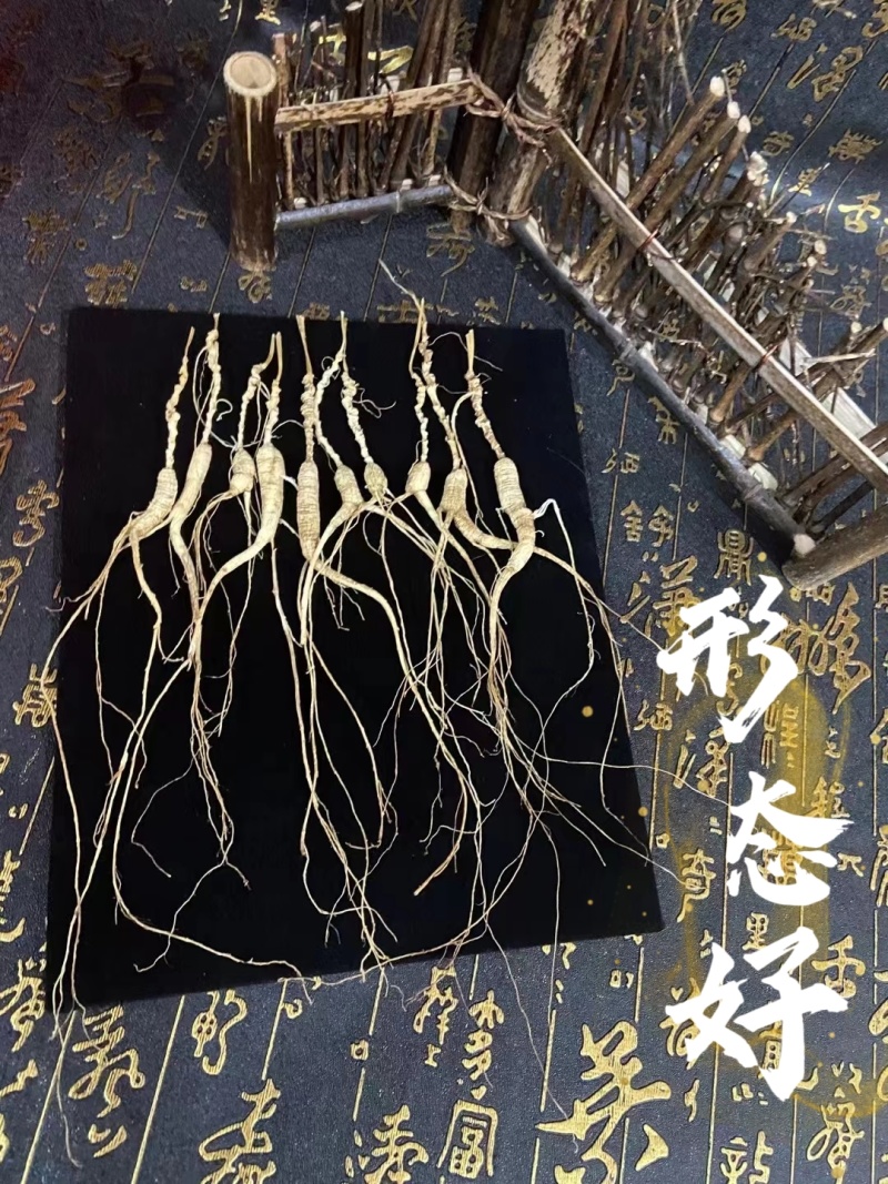 长白山人参林下参干参礼盒装16年参龄带证书