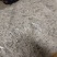 莓茶